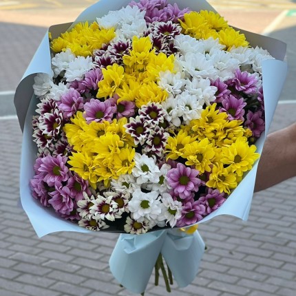 Букет из разноцветных хризантем - купить с доставкой в по Десногорску